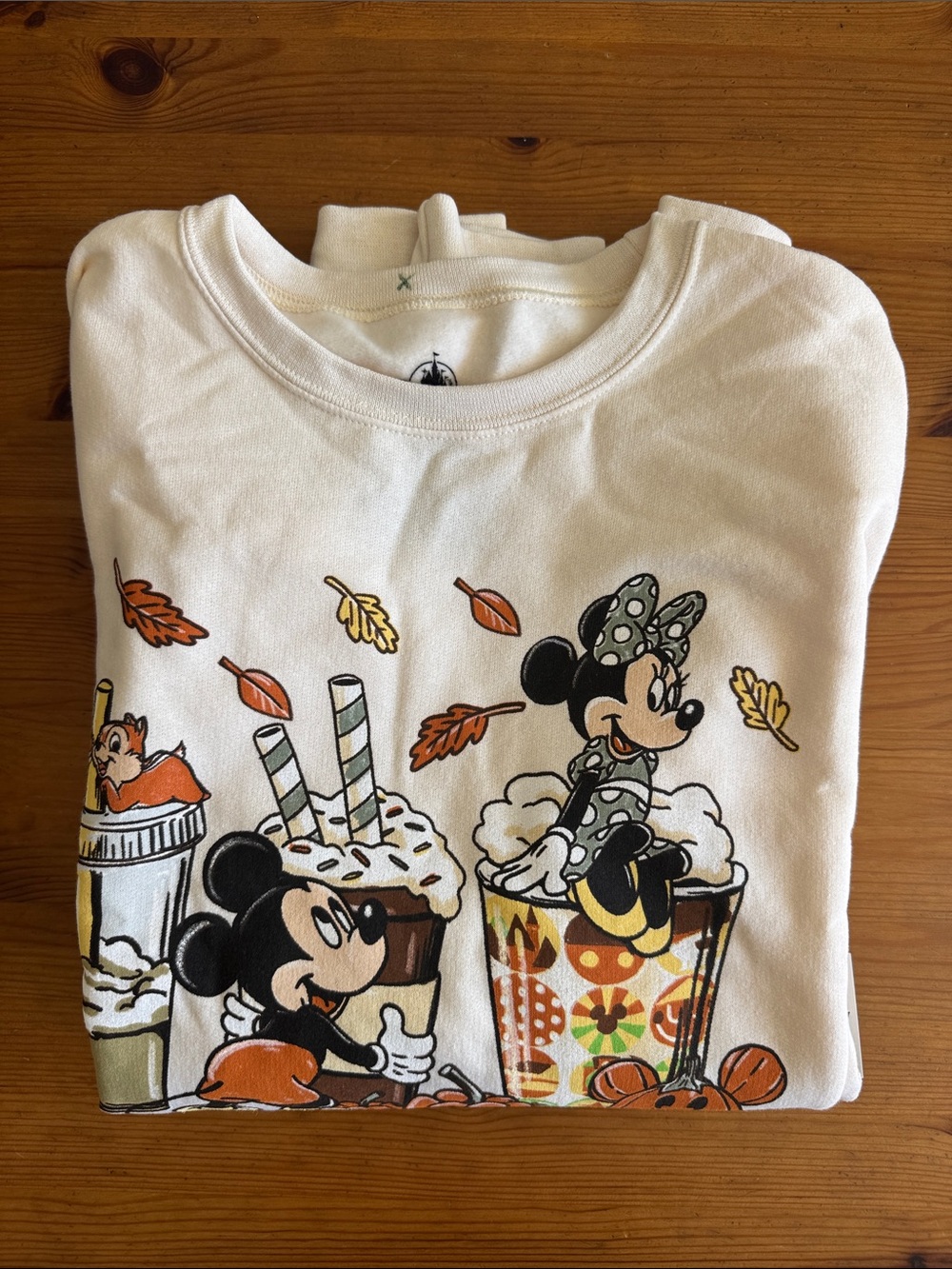 Disney Disneyland Resort Pumpkin Spice & Everything Nice Crewneck Sweatshirt - Picture 10 of 16